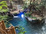 Aquarium2021-067