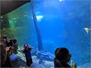 Aquarium2021-073