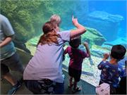 Aquarium2021-075