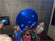 Aquarium2021-085