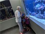 Aquarium2021-091