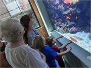 Aquarium2021-097
