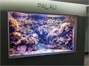 Aquarium2021-099