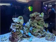 Aquarium2021-101