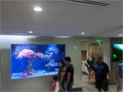 Aquarium2021-107