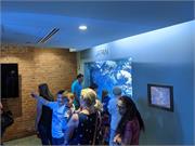 Aquarium2021-112