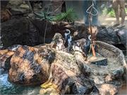 Aquarium2021-127