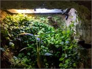 Aquarium2021-134