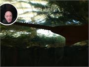 Aquarium2021-147
