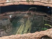 Aquarium2021-166