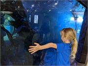 Aquarium2021-173